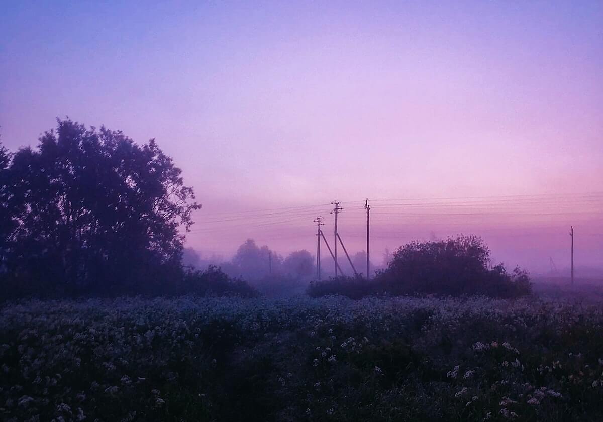 乐鱼网站：点亮你生活的娱乐新伙伴